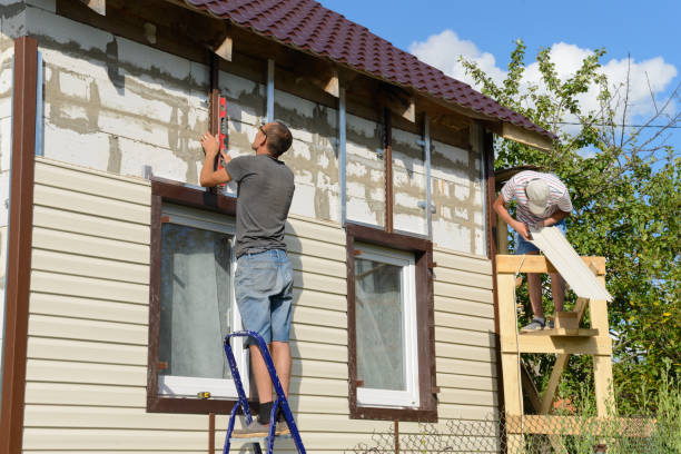 Affordable Siding Repair and Maintenance Services in Bayard, NM